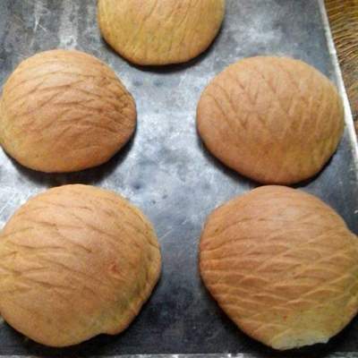 amasijo_conchas